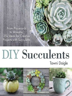 cover image of DIY Succulents